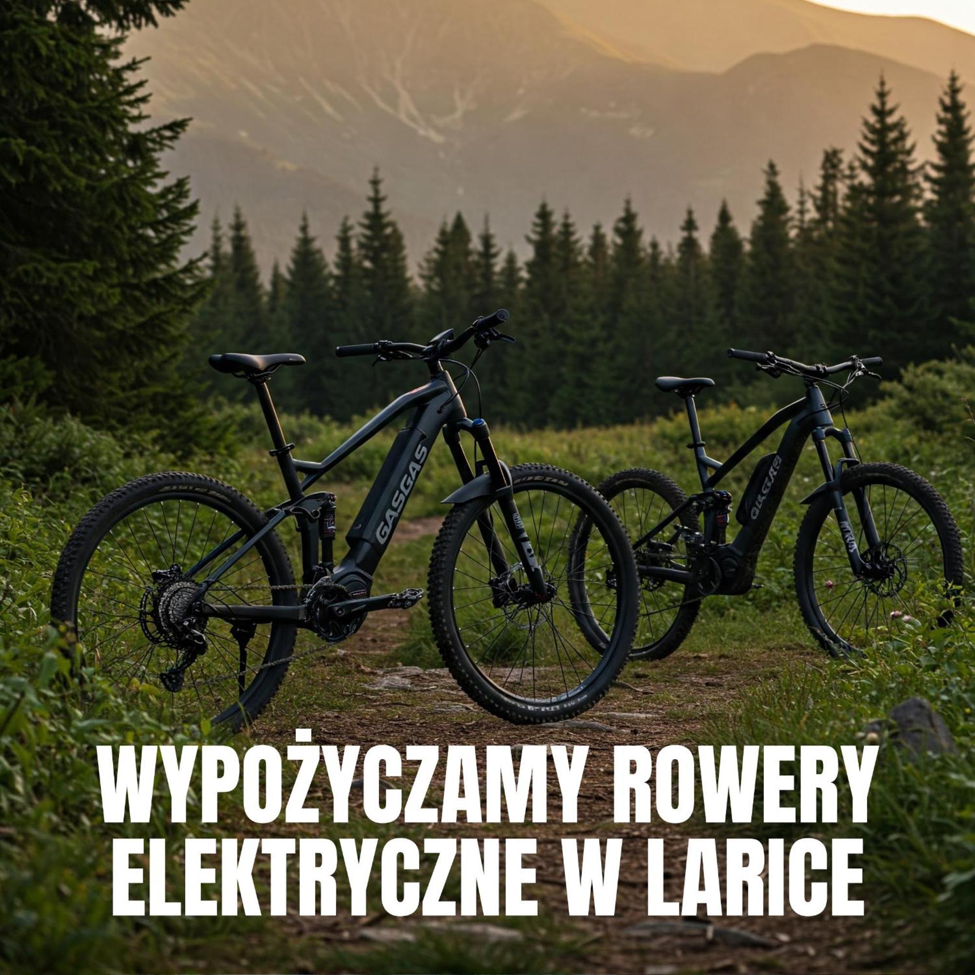 Apartamenty Larice - Podgrzewany Basen, Balia I Sauna Świeradów-Zdrój Dış mekan fotoğraf